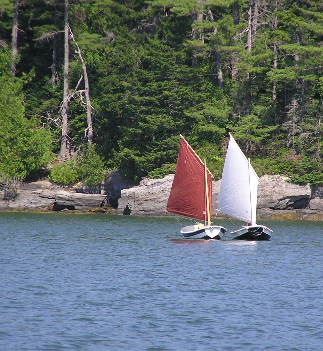 Sailing nutshell prams on the water